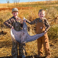 Texas goose hunt