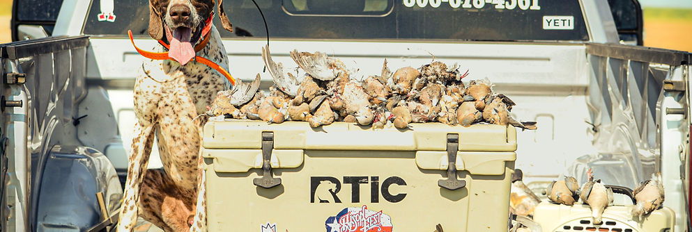 Dove hunt with Wack'm & Stack'm Outfitters