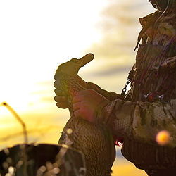 Duck hunt photo